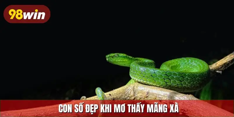 Con số đẹp khi mơ thấy mãng xà