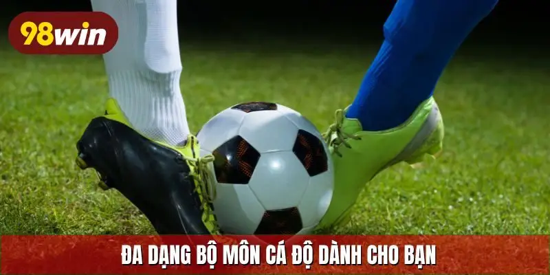 Đa dạng bộ môn cá độ dành cho bạn