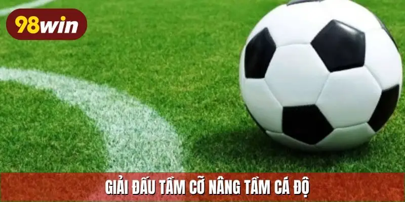 Giải đấu tầm cỡ nâng tầm cá độ