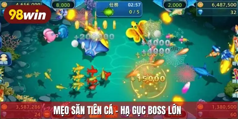 Mẹo săn tiên cá