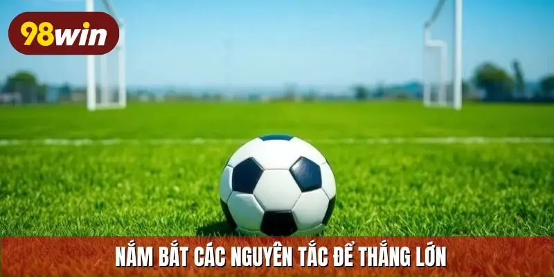 Nắm bắt các nguyên tắc để thắng lớn