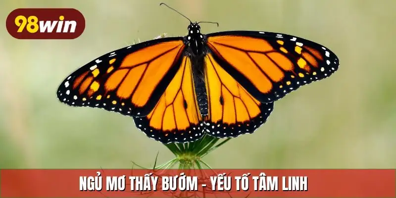 Ngủ mơ thấy bướm