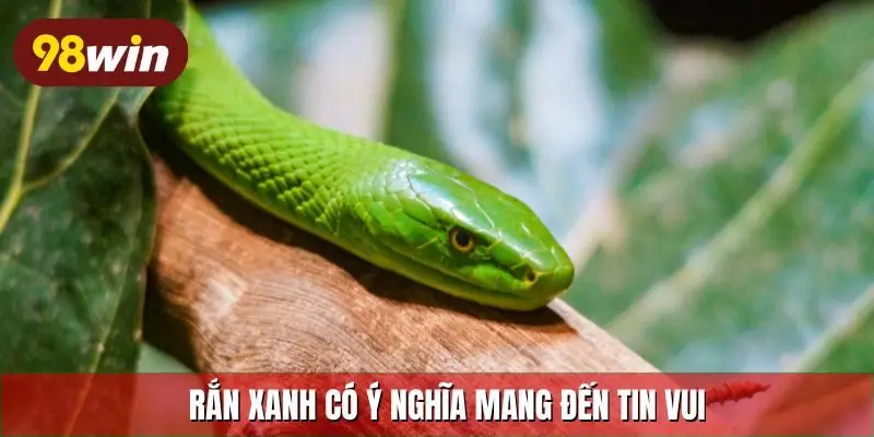 Rắn xanh có ý nghĩa mang đến tin vui