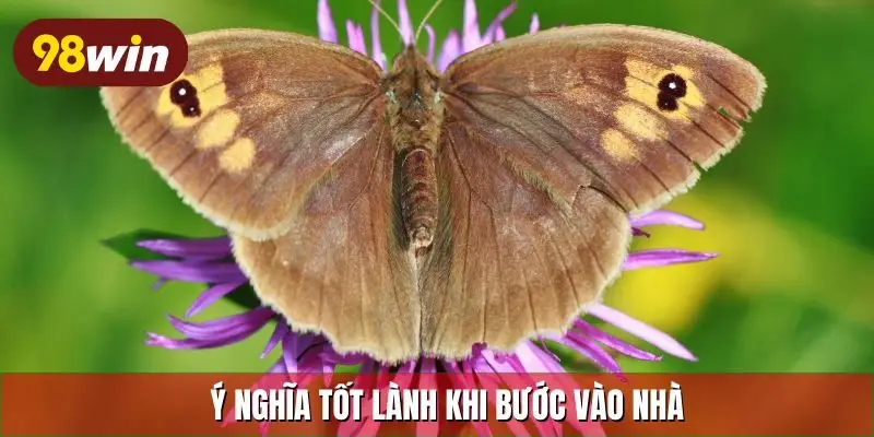 Ý nghĩa tốt lành khi bước vào nhà